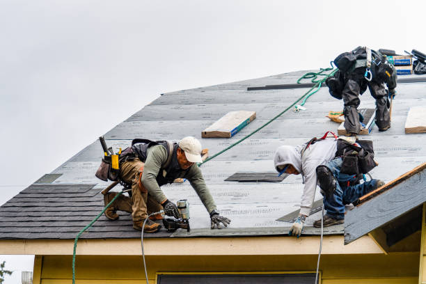 Professional Flat Roof Repair technician working in Quinebaug, CT